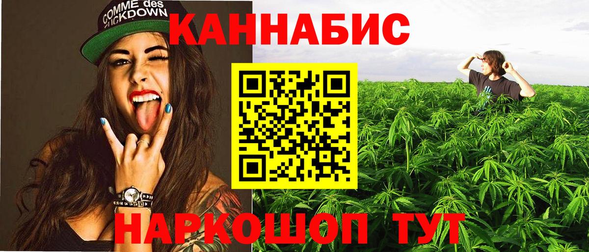 Шишки марихуана марихуана Черногорск